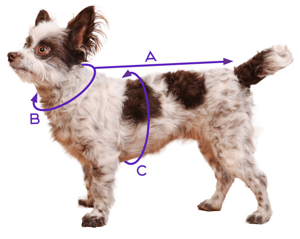 Elsie's Size Chart